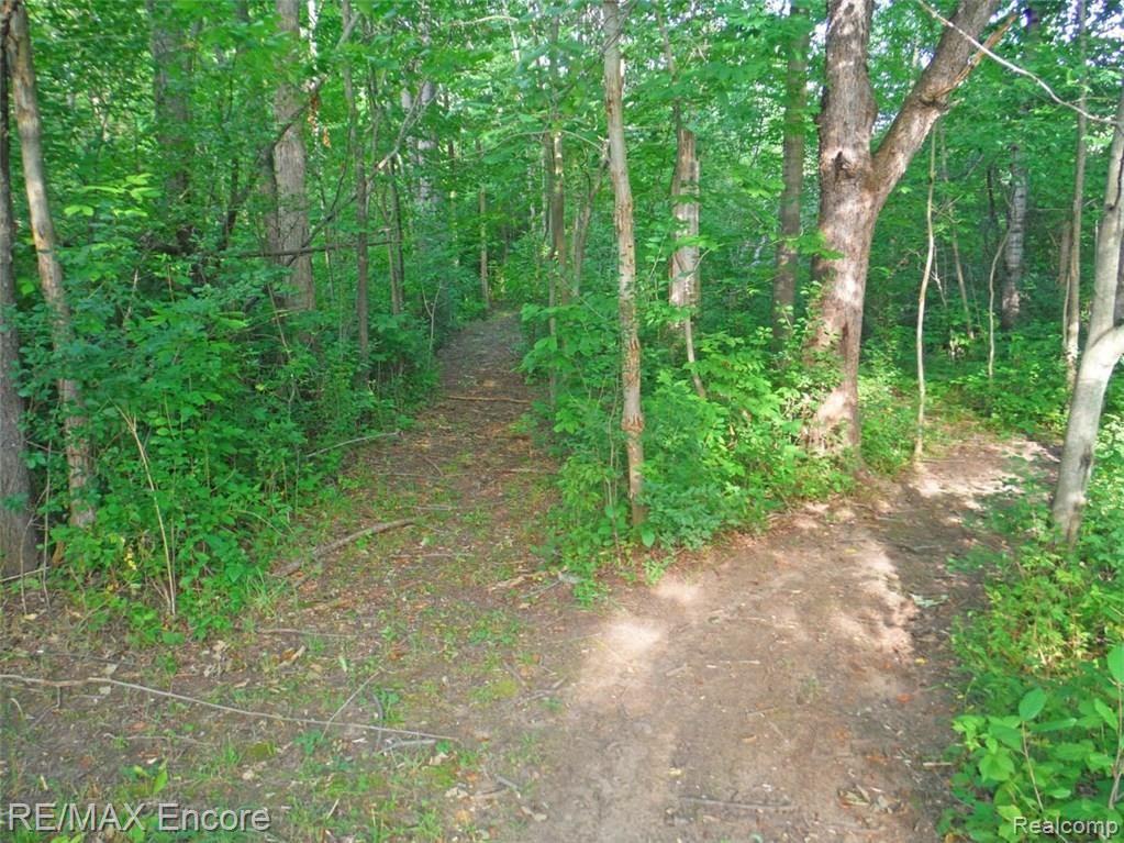 7414 Perry Lake Road Clarkston, MI 48348 - Photo 18 of 27 Trails to the river