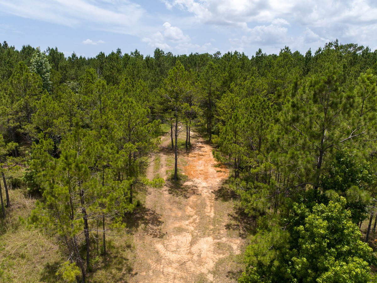 8 Benny Griffin Road Livingston, TX 77351 - Photo 12 of 44 a view of a lake with houses in the back