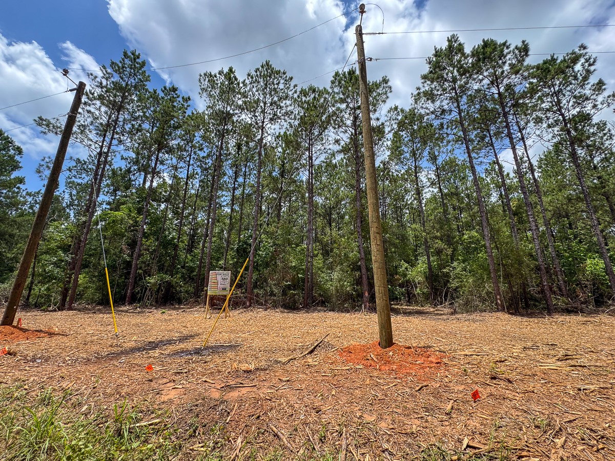 8 Benny Griffin Road Livingston, TX 77351 - Photo 15 of 44 a street view covered with snow