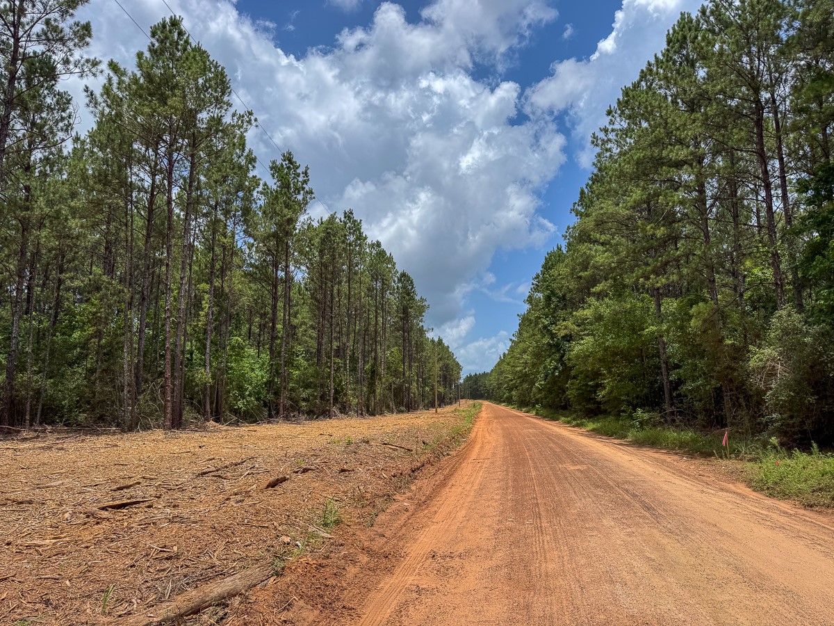 8 Benny Griffin Road Livingston, TX 77351 - Photo 16 of 44 a view of a backyard of the house