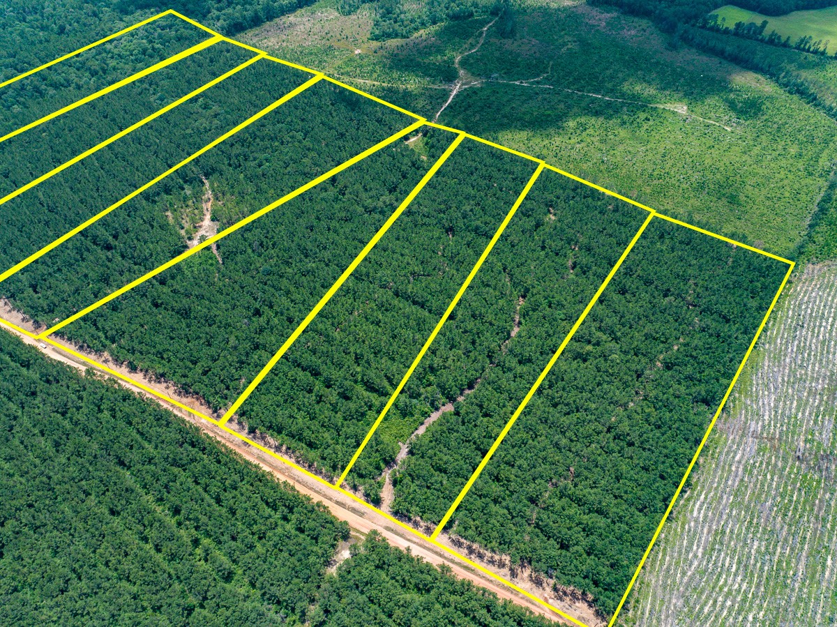 8 Benny Griffin Road Livingston, TX 77351 - Photo 3 of 44 a view of a tennis court