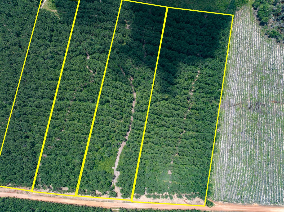 8 Benny Griffin Road Livingston, TX 77351 - Photo 4 of 44