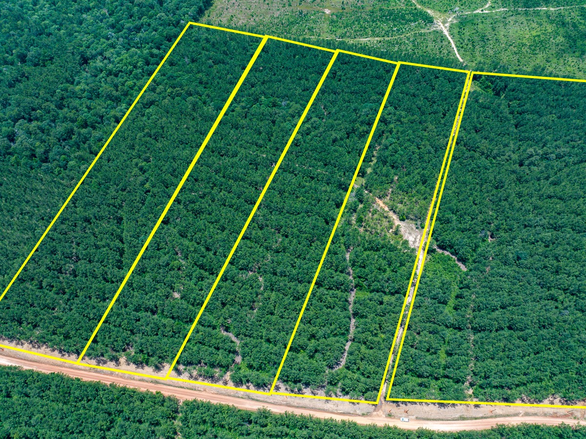 8 Benny Griffin Road Livingston, TX 77351 - Photo 5 of 44