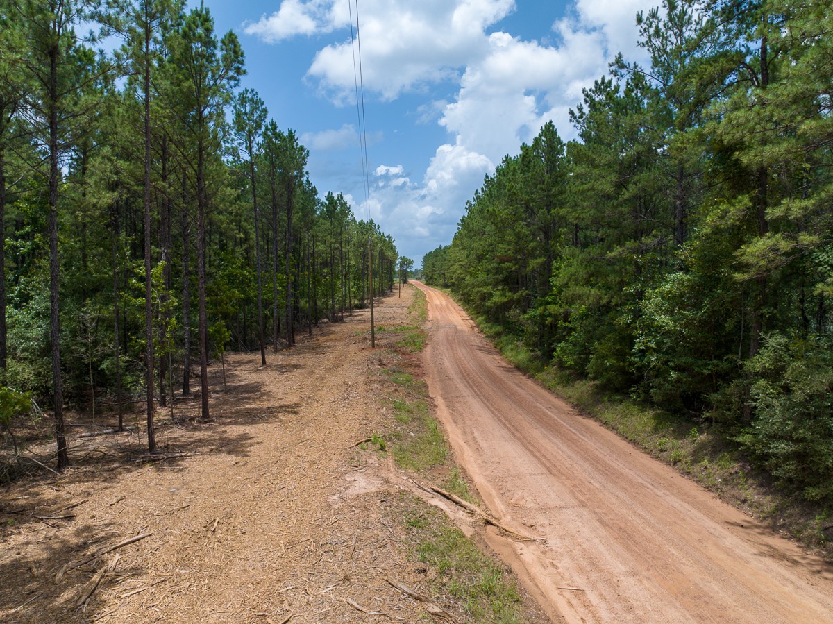 8 Benny Griffin Road Livingston, TX 77351 - Photo 6 of 44 a view of an outdoor space with a lake view