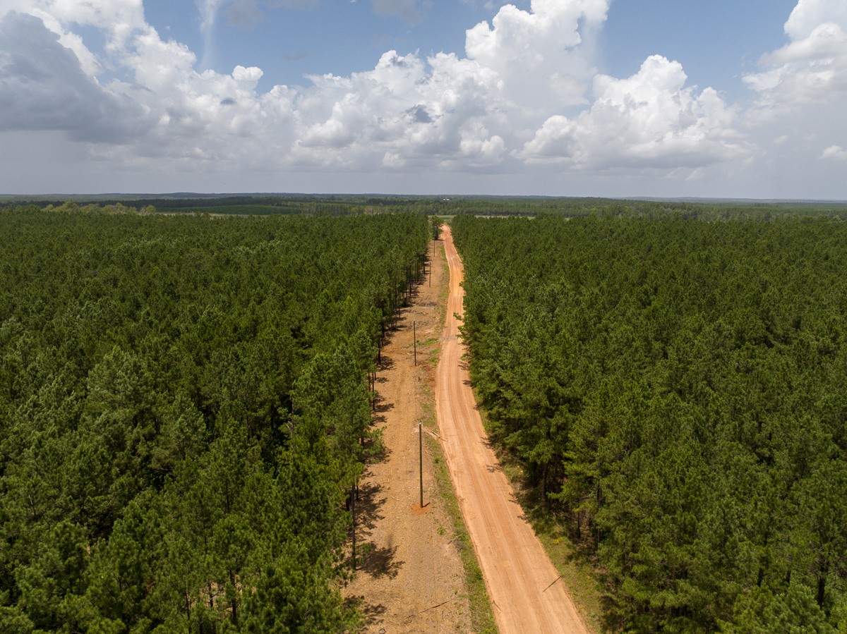 8 Benny Griffin Road Livingston, TX 77351 - Photo 9 of 44 a view of a lake with a big yard