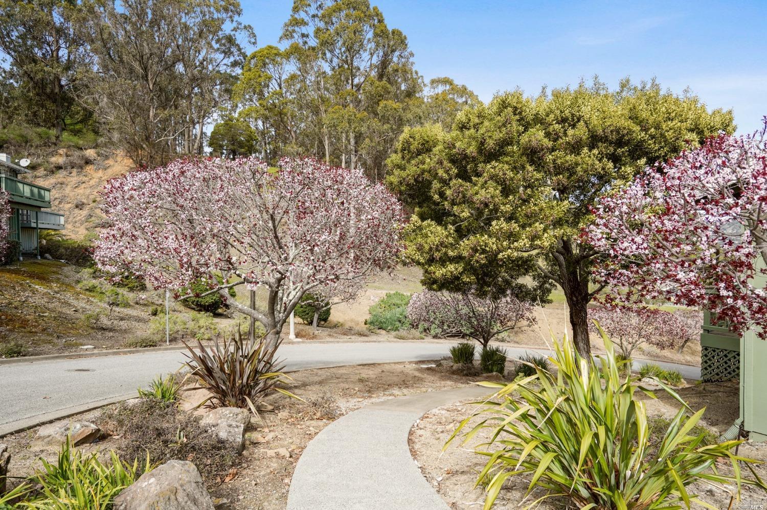 30 Laurel Drive Corte Madera, CA 94925 - Photo 25 of 32