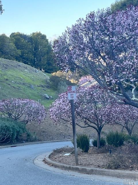 30 Laurel Drive Corte Madera, CA 94925 - Photo 26 of 32