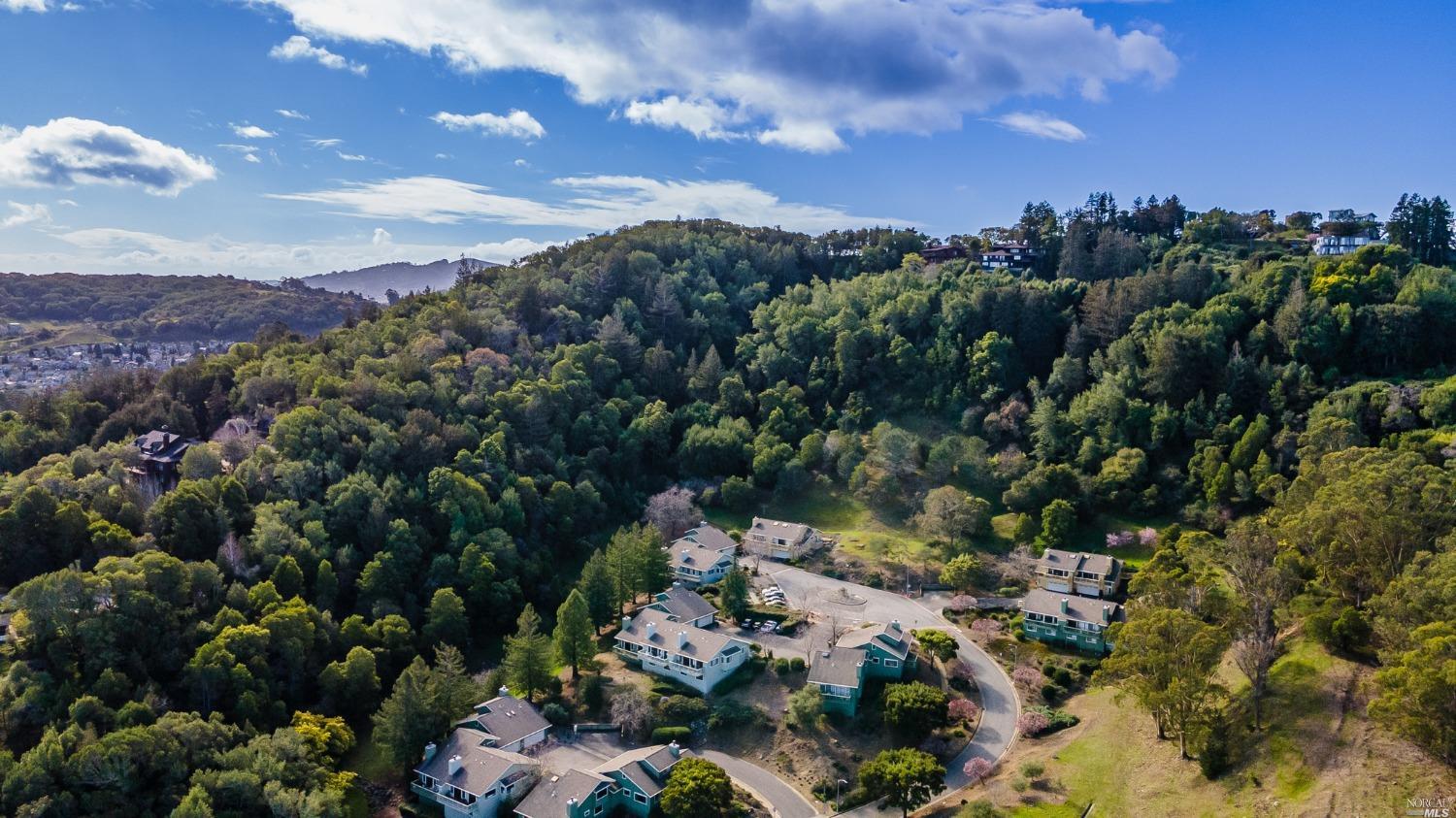 30 Laurel Drive Corte Madera, CA 94925 - Photo 29 of 32