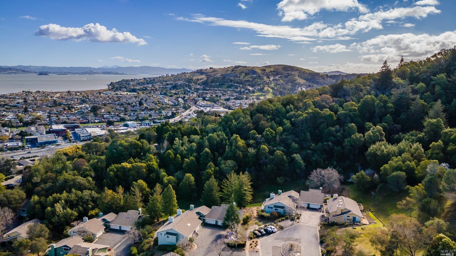 30 Laurel Drive Corte Madera, CA 94925 - Photo 30 of 32