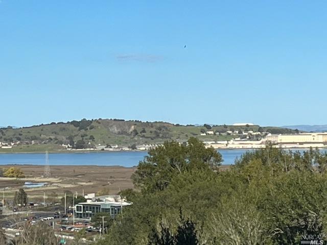 30 Laurel Drive Corte Madera, CA 94925 - Photo 8 of 32