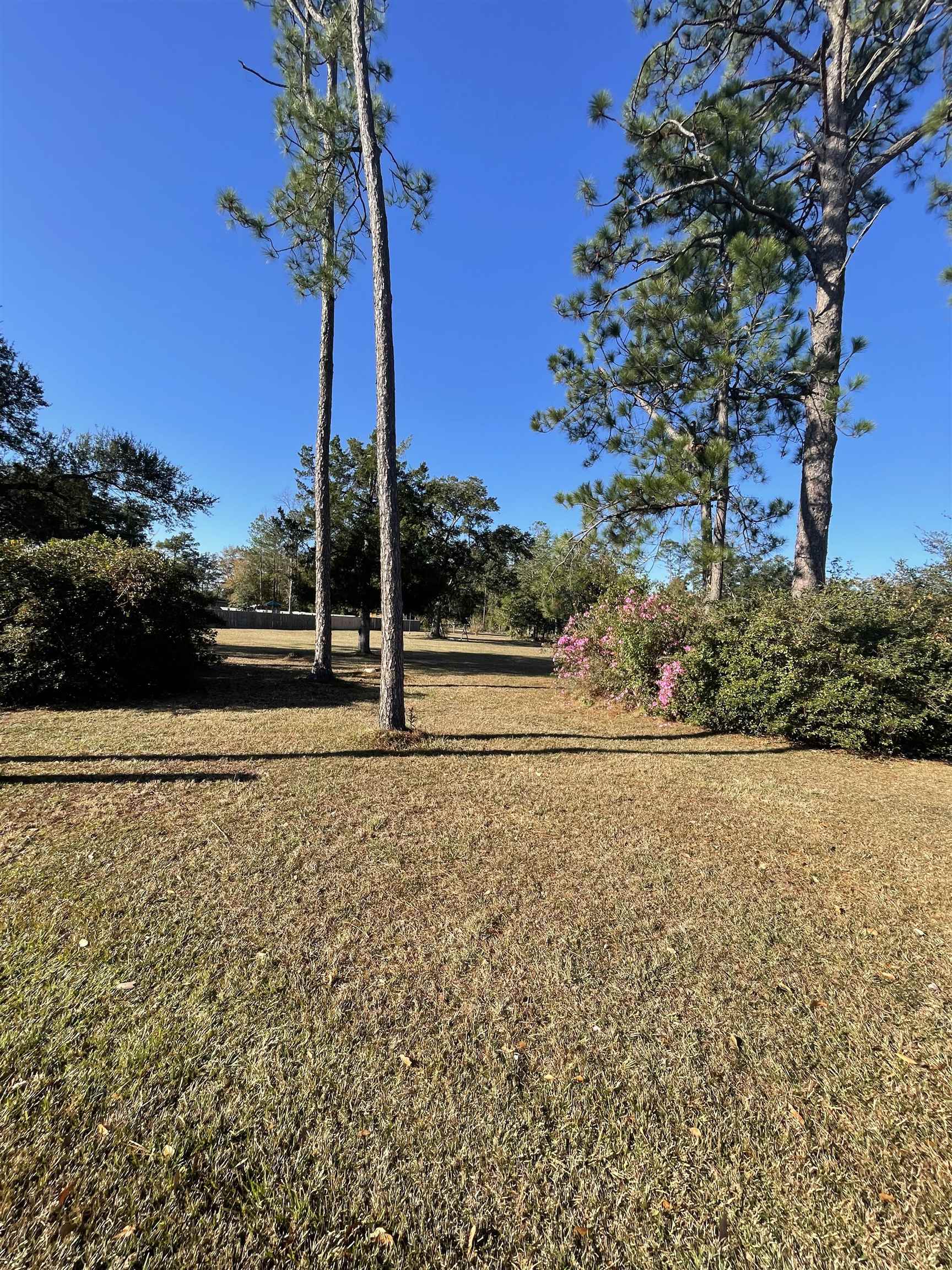 21895 9th Street Silverhill, AL 36576 - Photo 3 of 11