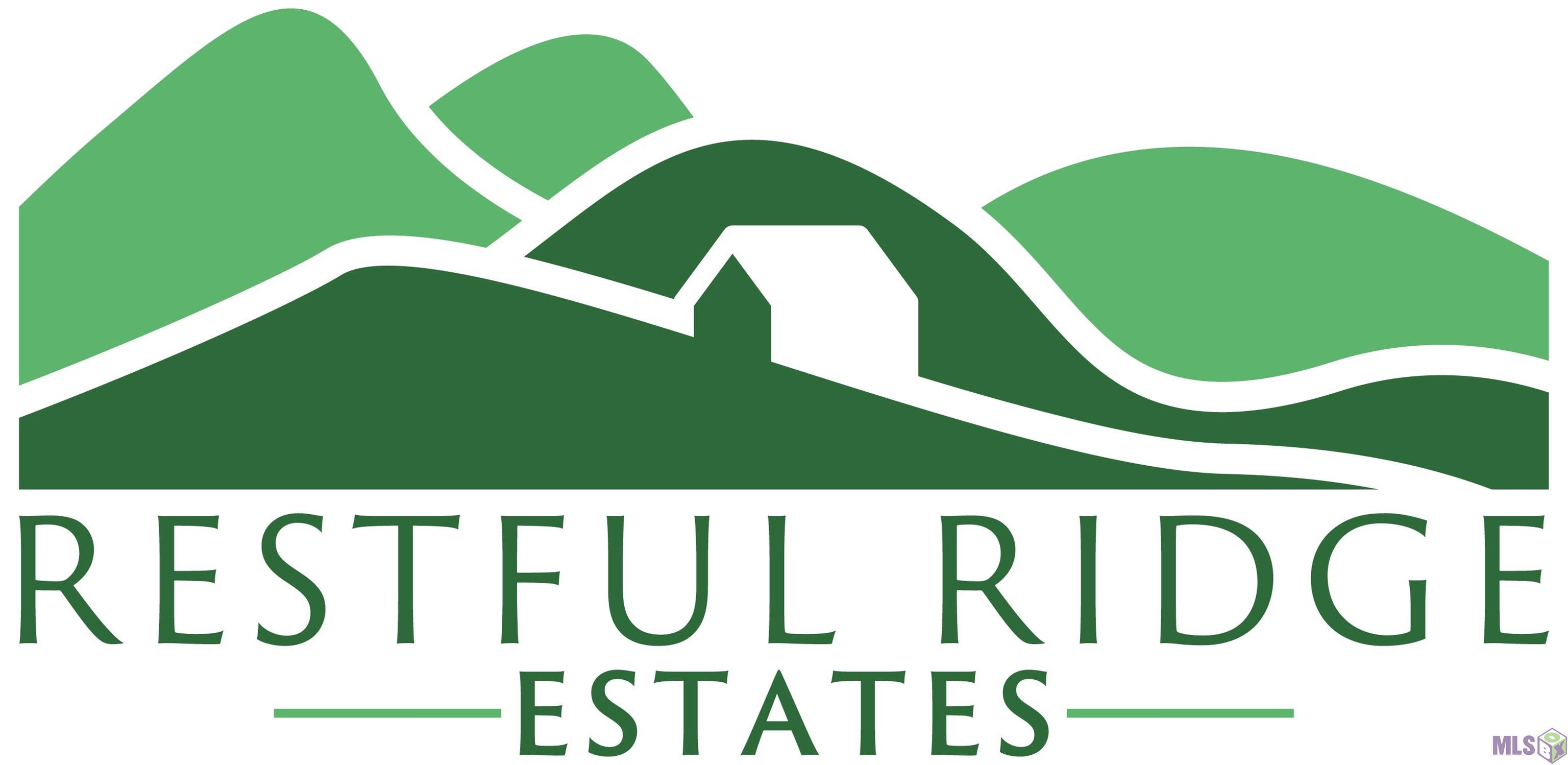 958 Slaughter La Slaughter, LA 70777 - Photo 4 of 4