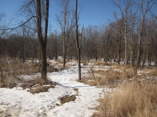 Vacant Land Barnum Rd #1.JPG