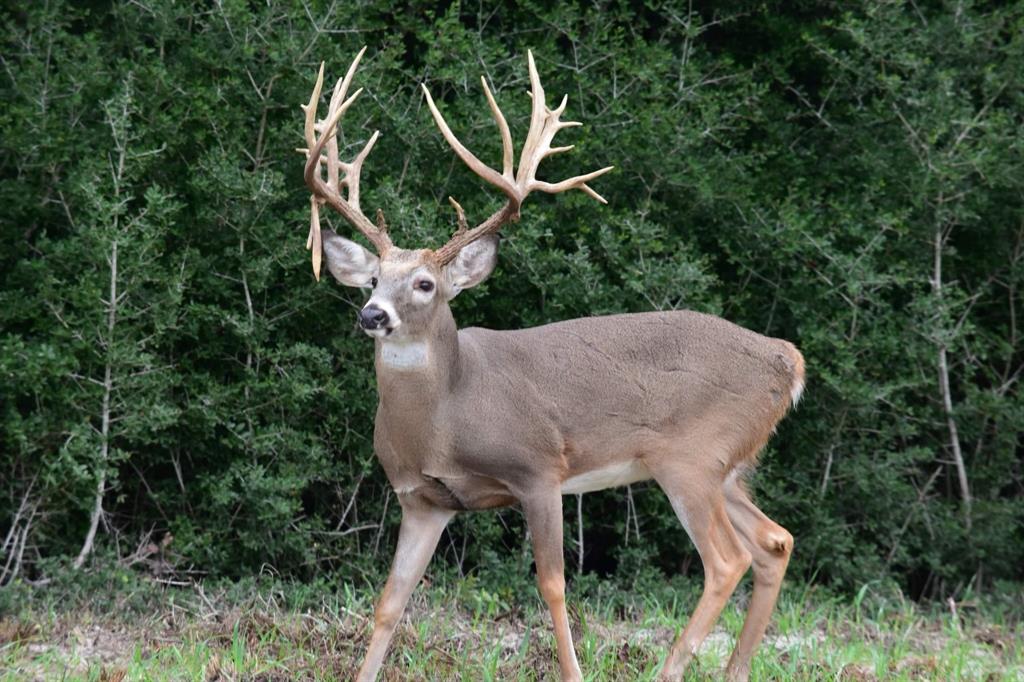 15528 Fm 3 S Normangee Tx South