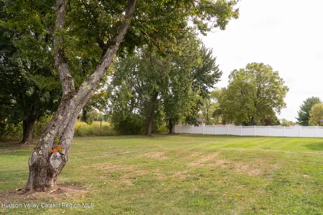a view of a yard with a tree