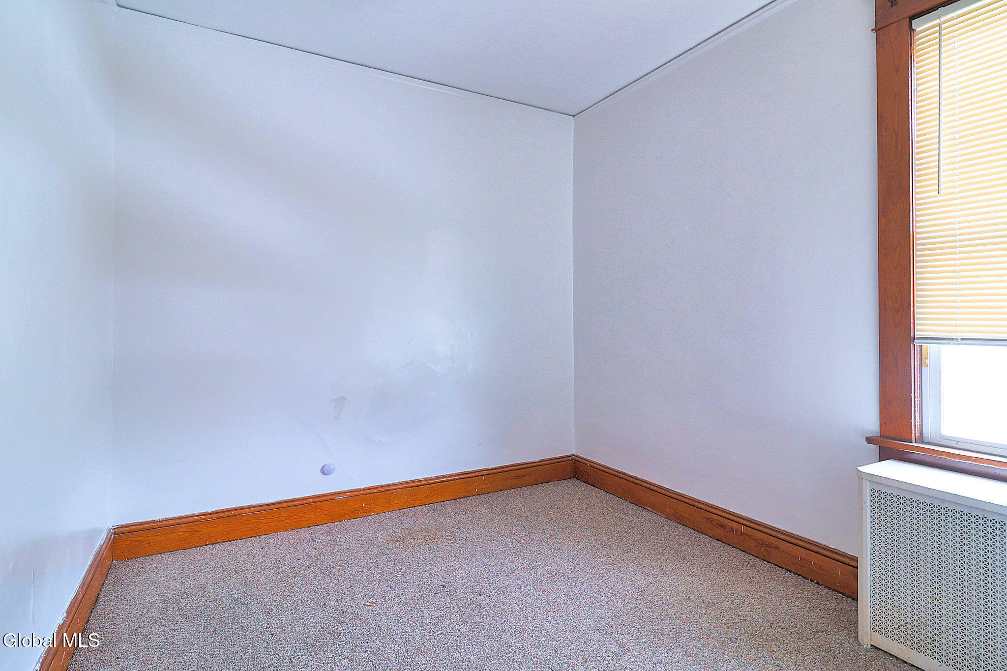 669 Washington Avenue Albany, NY 12206 - Photo 30 of 37 669WashingtonAve-006