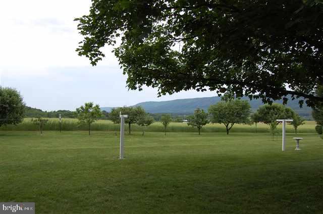 562 Shed Road Newville, PA 17241 - Photo 6 of 25