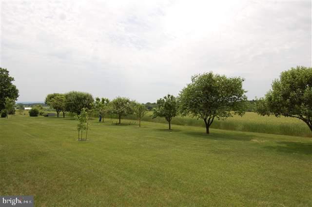 562 Shed Road Newville, PA 17241 - Photo 7 of 25