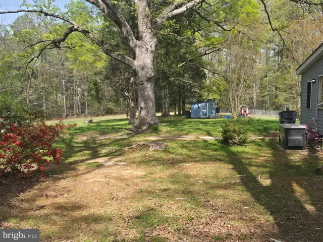 a view of a yard with large trees