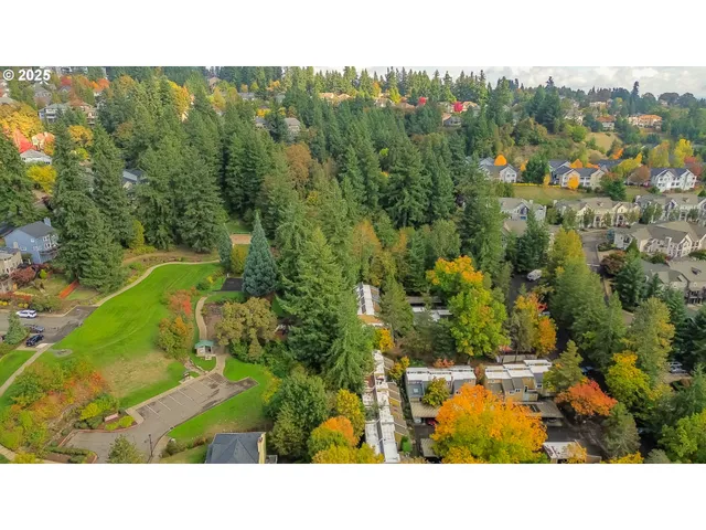 a terrace with a table and chairs and a large tree