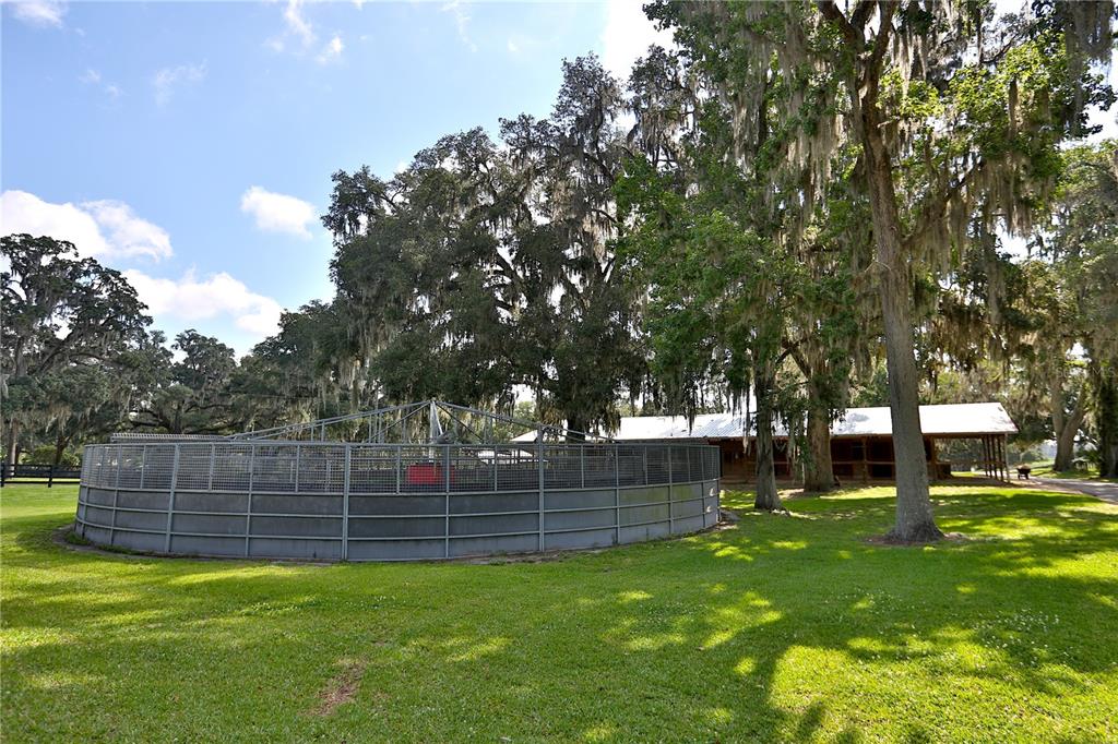 13450 Northwest Gainesville Road, Unit OPTION 2 Reddick, FL 32686 - Photo 22 of 70 Gallery Image 22