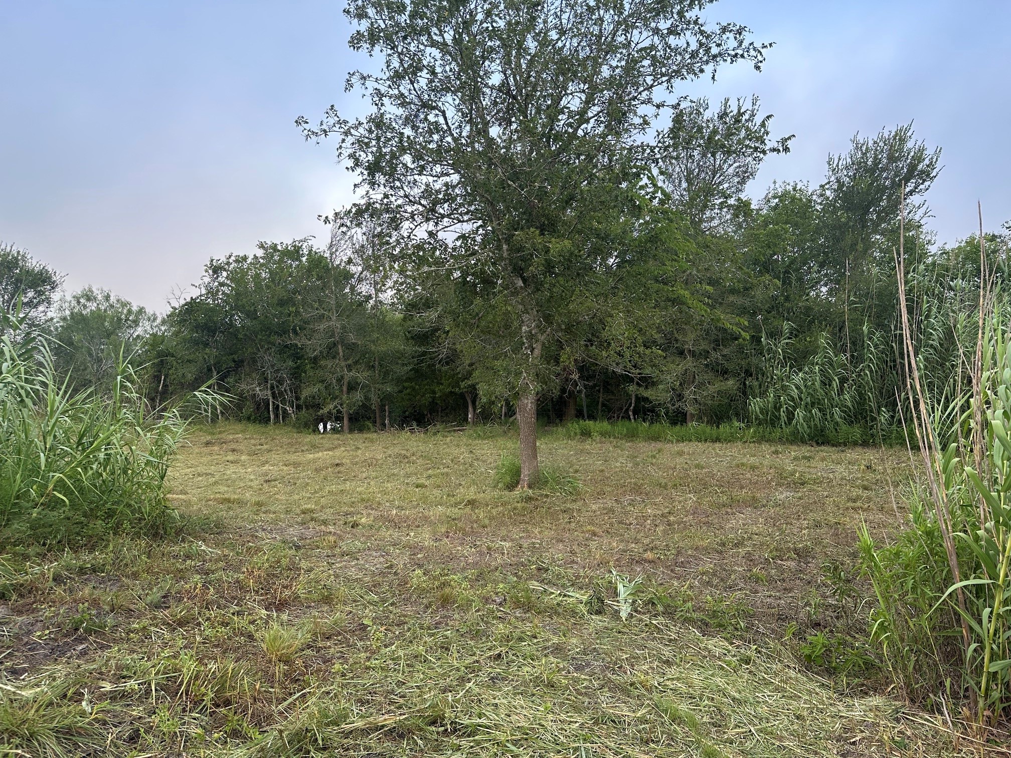 5914 Guettermann Ehler Road Muldoon, TX 78949 - Photo 3 of 11 Gallery Image 3