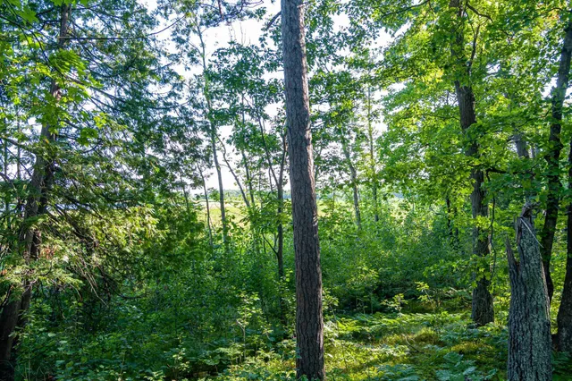 $265,000 | Tbd Tbd Lantern Lane, Hackensack, MN 56452