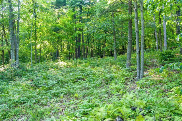 $265,000 | Tbd Tbd Lantern Lane, Hackensack, MN 56452