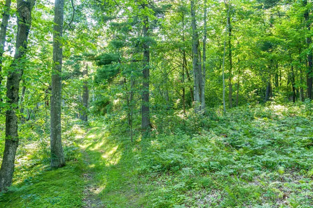 $265,000 | Tbd Tbd Lantern Lane, Hackensack, MN 56452