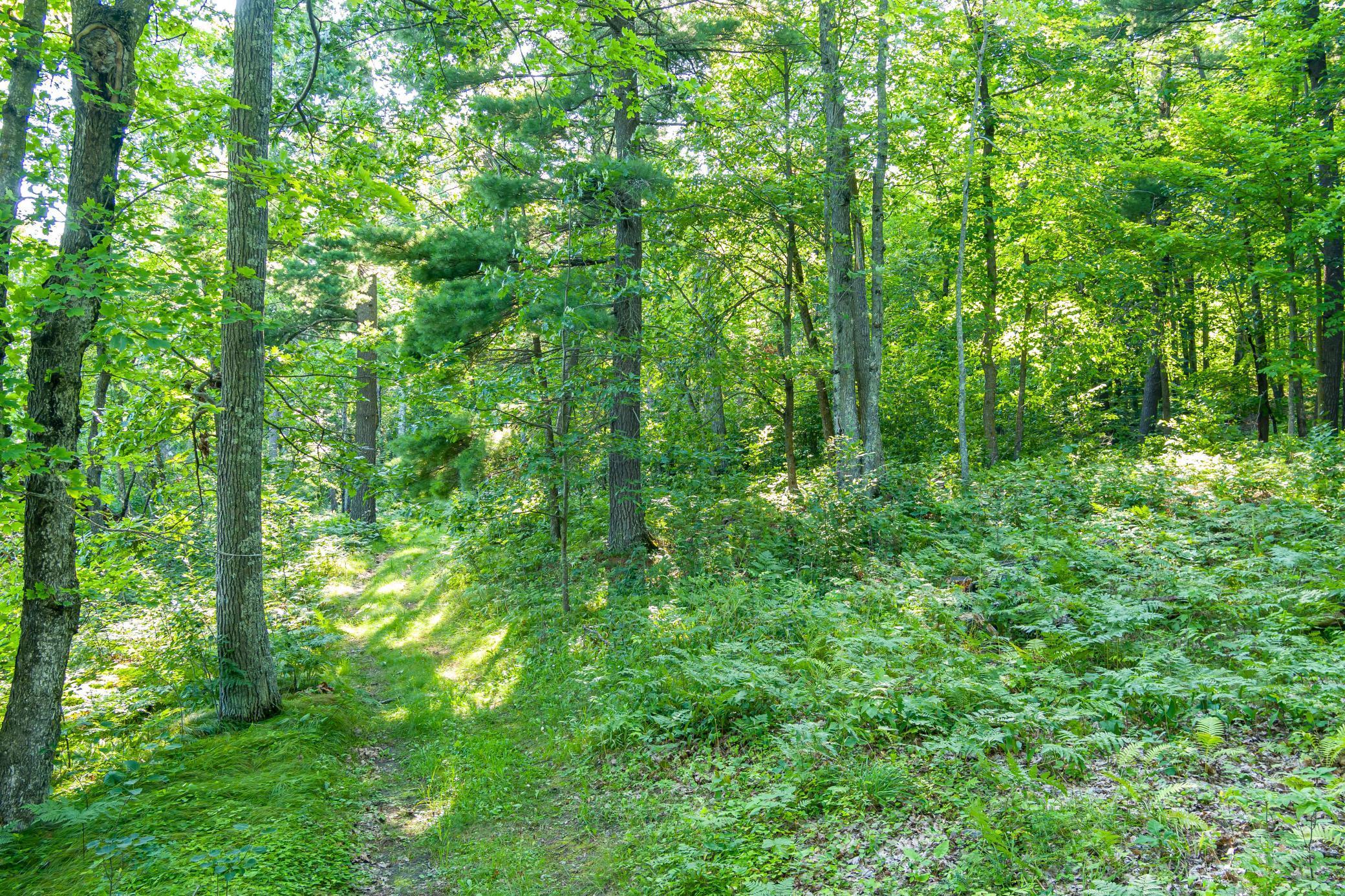 Tbd Tbd Lantern Lane Hackensack, MN 56452 - Photo 17 of 33