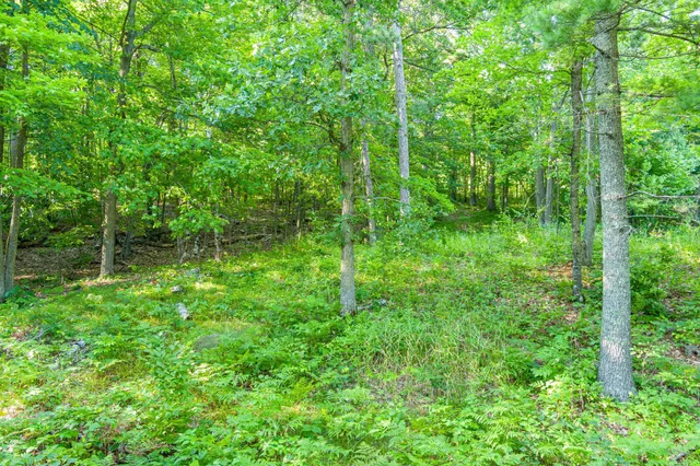 $265,000 | Tbd Tbd Lantern Lane, Hackensack, MN 56452