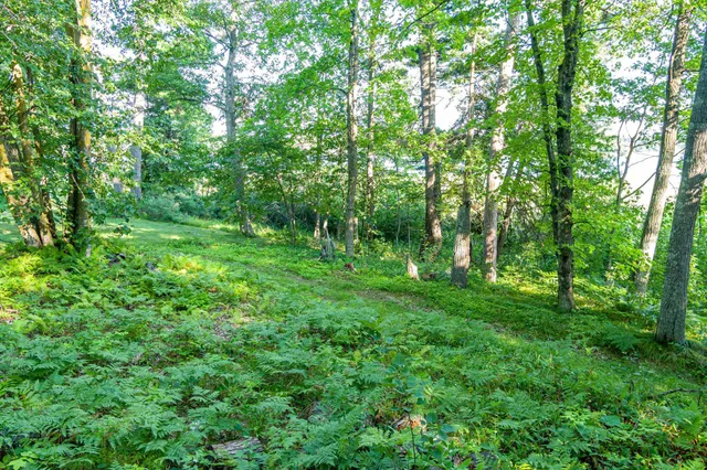 $265,000 | Tbd Tbd Lantern Lane, Hackensack, MN 56452