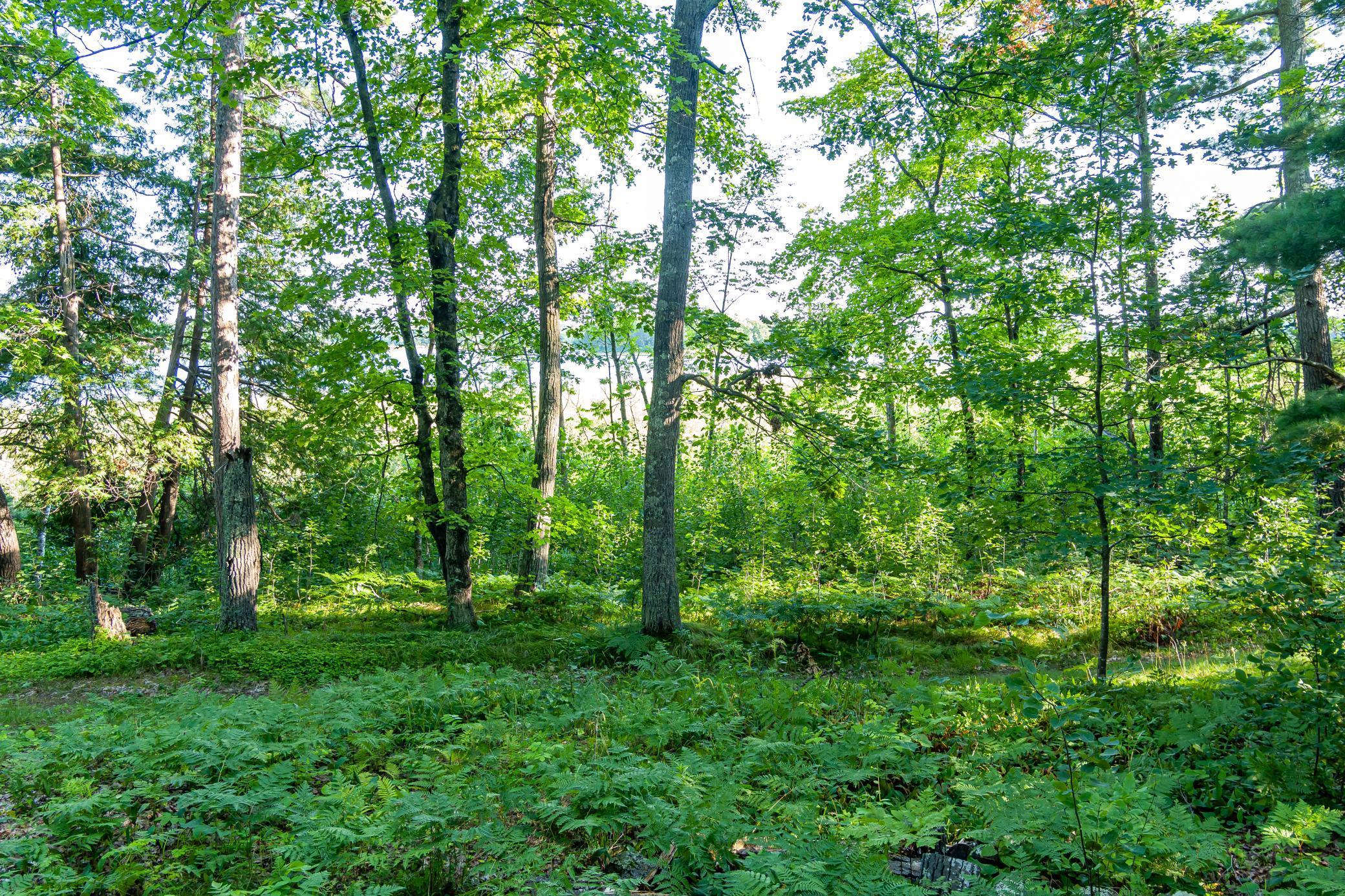 Tbd Tbd Lantern Lane Hackensack, MN 56452 - Photo 21 of 33
