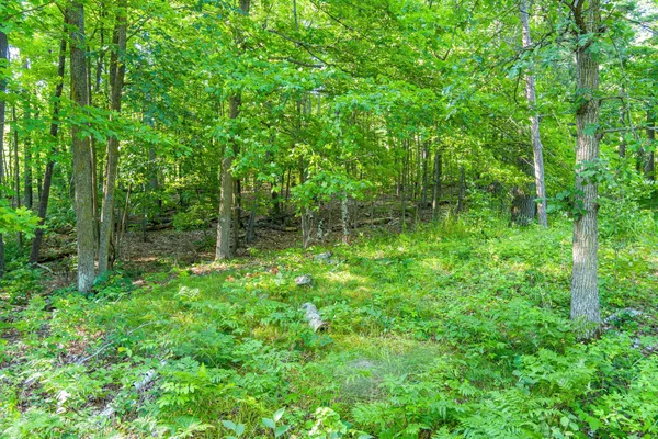 $265,000 | Tbd Tbd Lantern Lane, Hackensack, MN 56452
