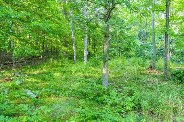 $265,000 | Tbd Tbd Lantern Lane, Hackensack, MN 56452