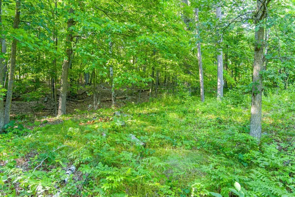 $265,000 | Tbd Tbd Lantern Lane, Hackensack, MN 56452