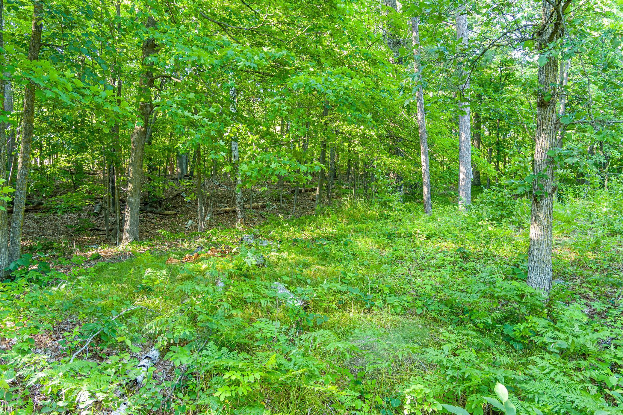 Tbd Tbd Lantern Lane Hackensack, MN 56452 - Photo 24 of 33