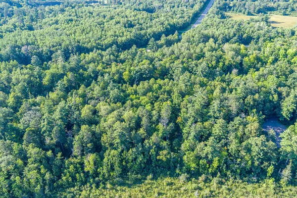 $265,000 | Tbd Tbd Lantern Lane, Hackensack, MN 56452