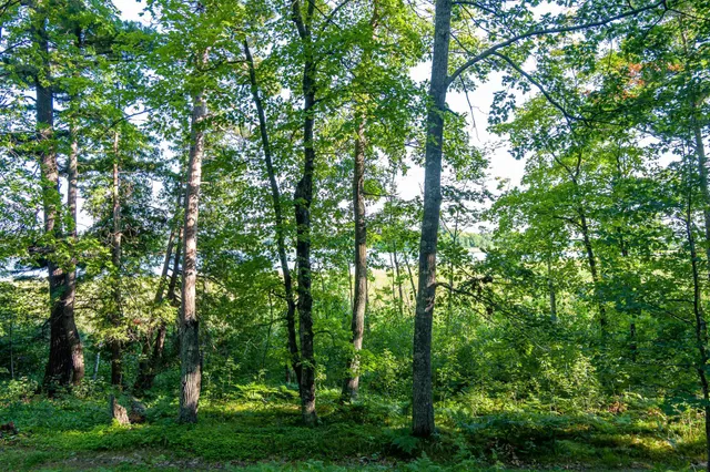 $265,000 | Tbd Tbd Lantern Lane, Hackensack, MN 56452