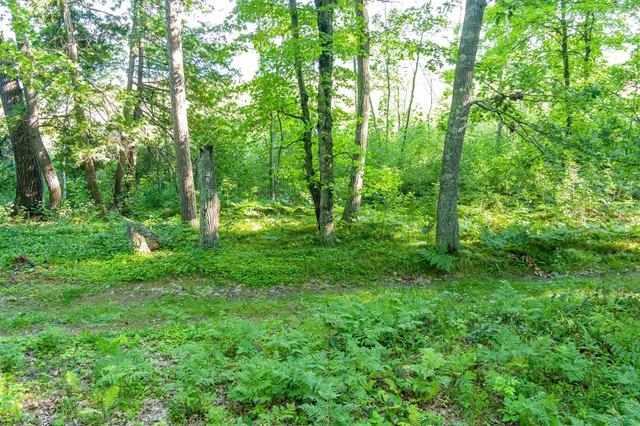 $265,000 | Tbd Tbd Lantern Lane, Hackensack, MN 56452