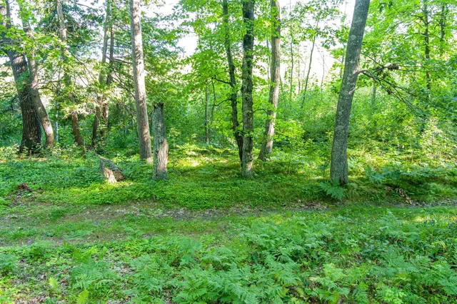 $265,000 | Tbd Tbd Lantern Lane, Hackensack, MN 56452