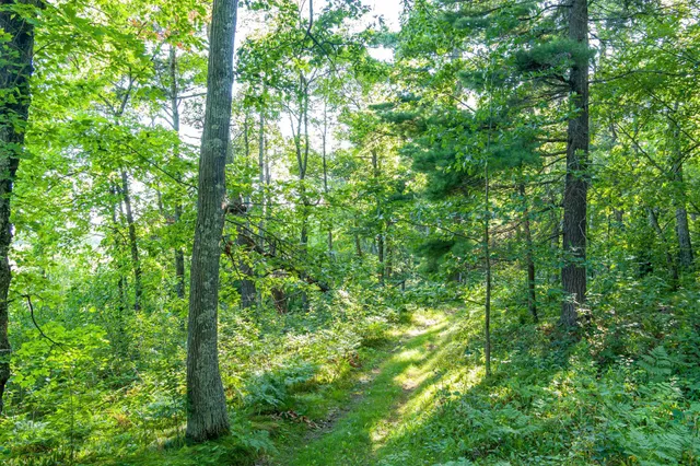 $265,000 | Tbd Tbd Lantern Lane, Hackensack, MN 56452