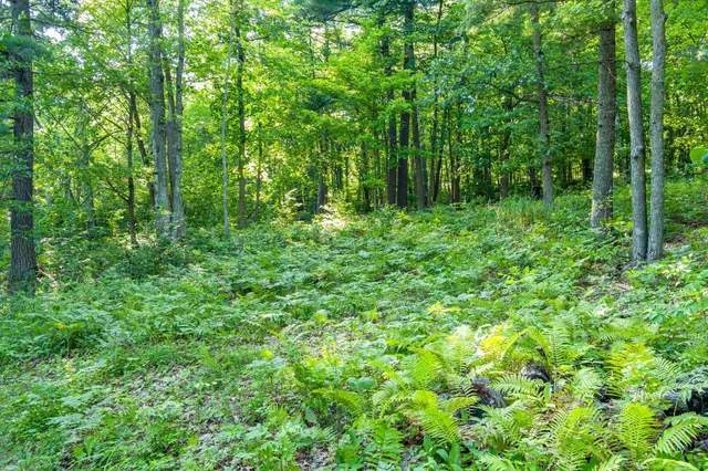 $265,000 | Tbd Tbd Lantern Lane, Hackensack, MN 56452