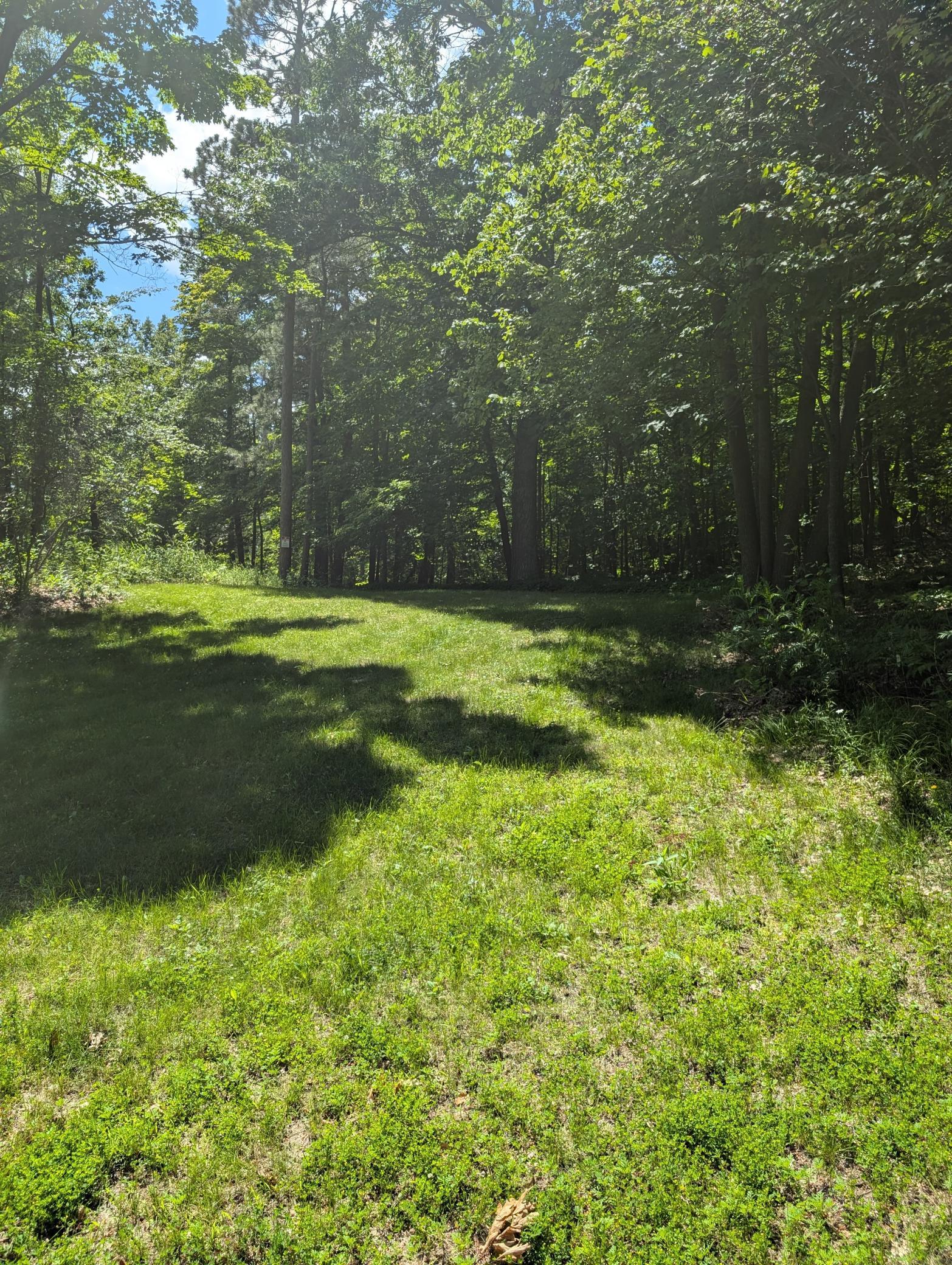 Tbd Tbd Lantern Lane Hackensack, MN 56452 - Photo 10 of 33