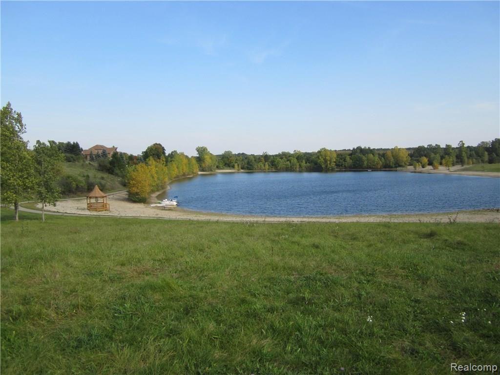 Vac Sand Ridge Circle Brighton, MI 48114 - Photo 4 of 7
