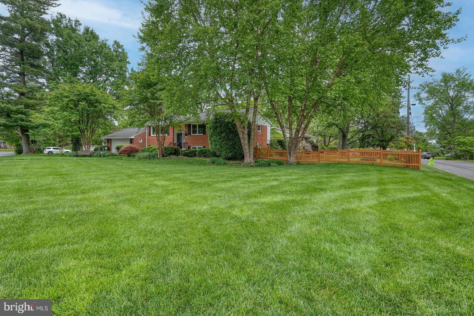 6511 Engel Drive McLean, VA 22101 - Photo 6 of 56 a view of a tree in front of a house