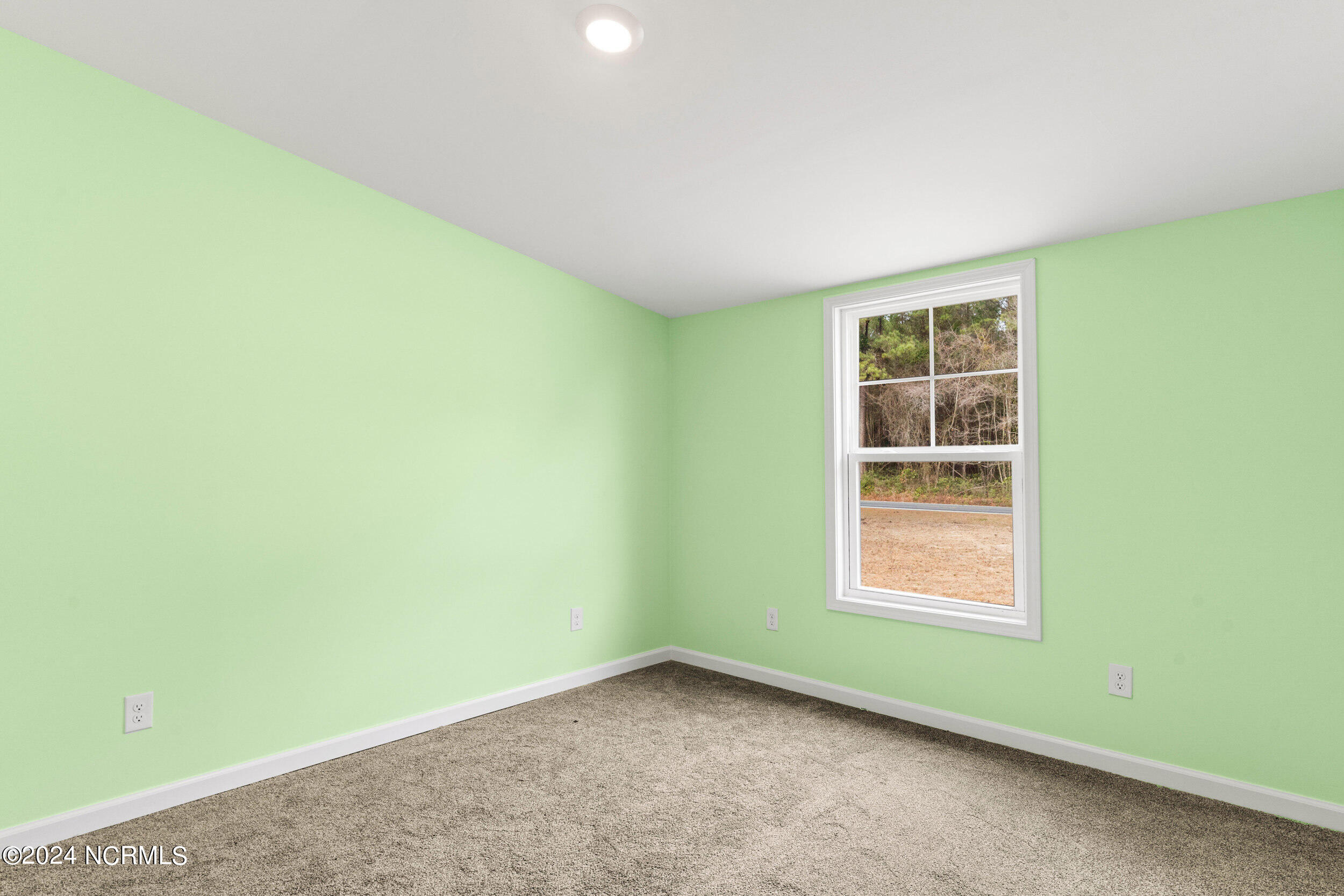 168 Stocking Head Road Rose Hill, NC 28458 - Photo 22 of 40 168stockingheadrd_00031