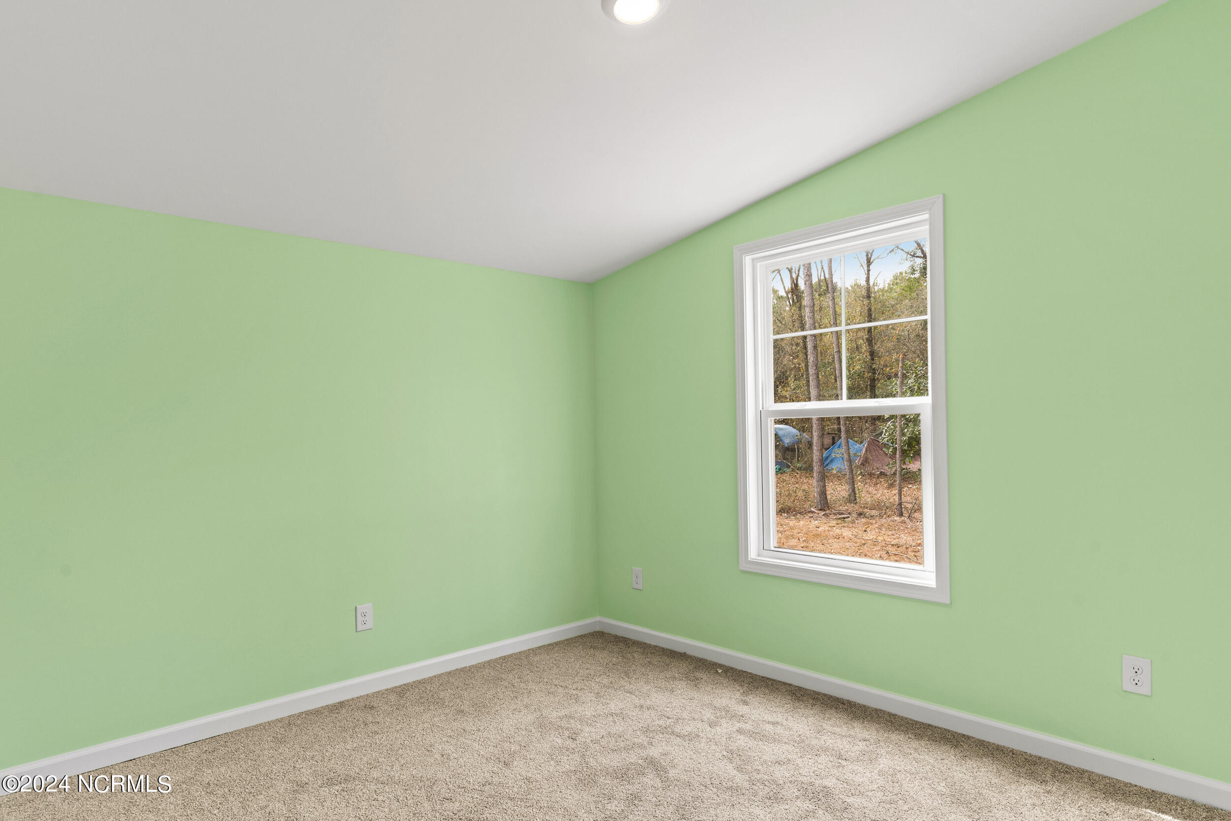 168 Stocking Head Road Rose Hill, NC 28458 - Photo 24 of 40 168stockingheadrd_00036