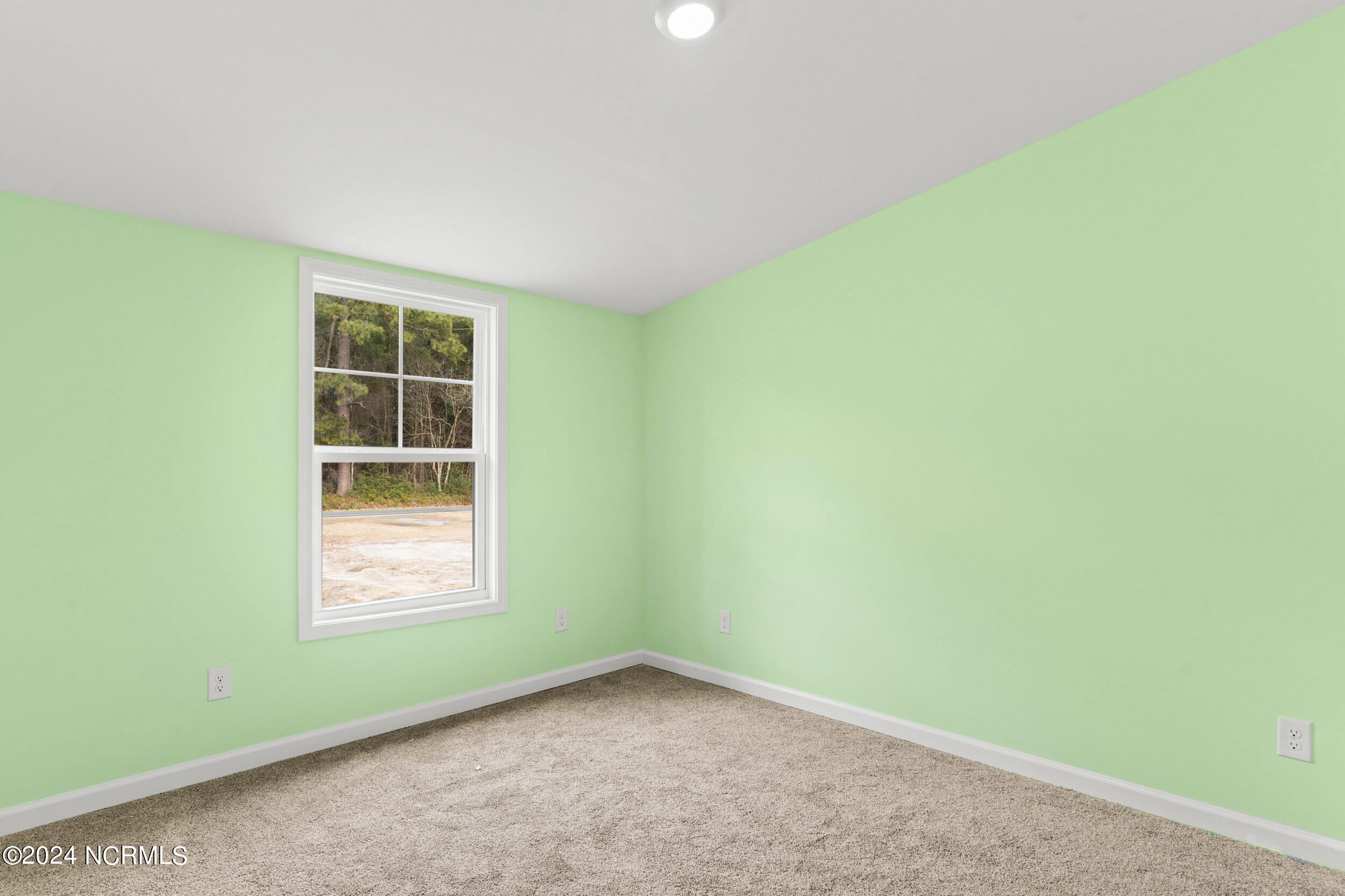 168 Stocking Head Road Rose Hill, NC 28458 - Photo 25 of 40 168stockingheadrd_00028