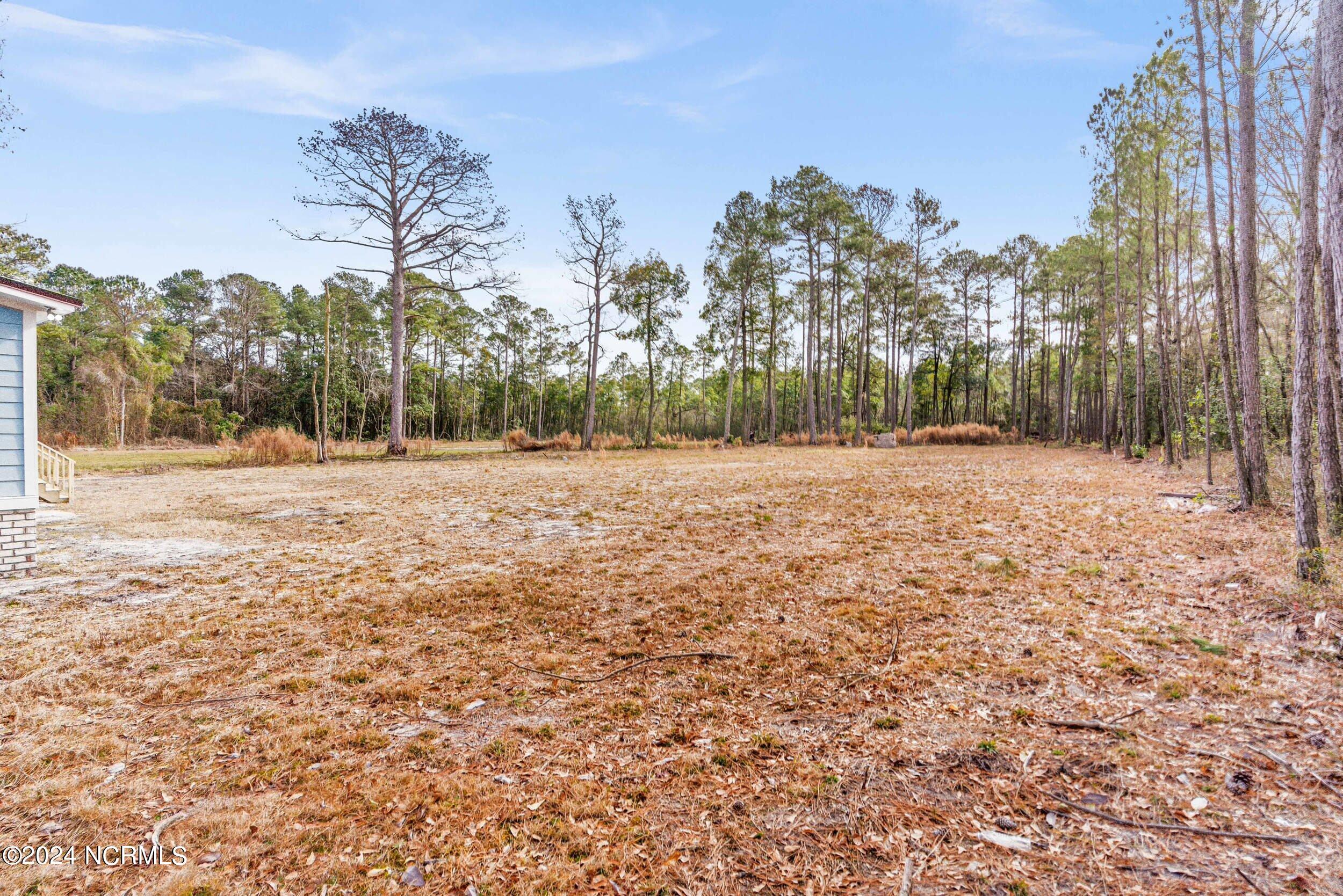 168 Stocking Head Road Rose Hill, NC 28458 - Photo 32 of 40 168stockingheadrd_00043